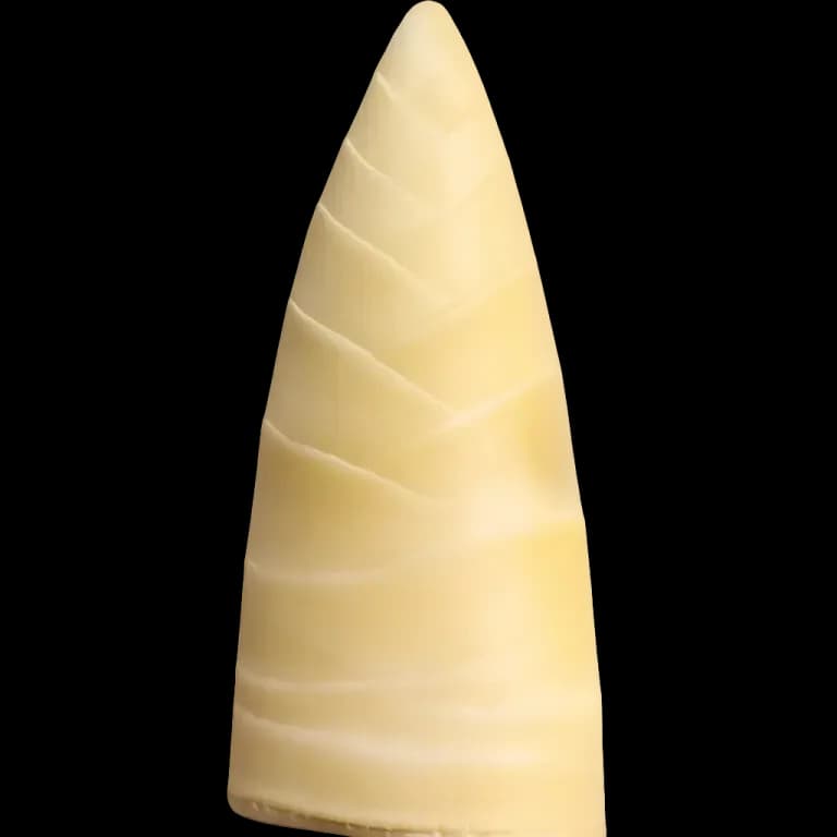 Bamboo shoots