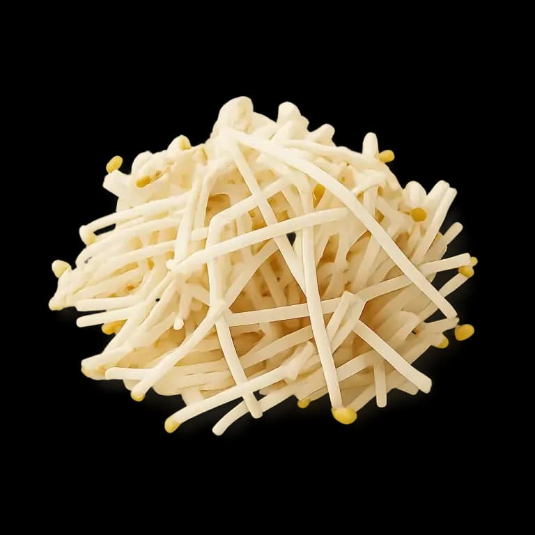 Bean sprouts