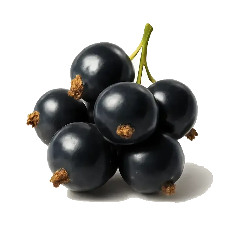 Black currants