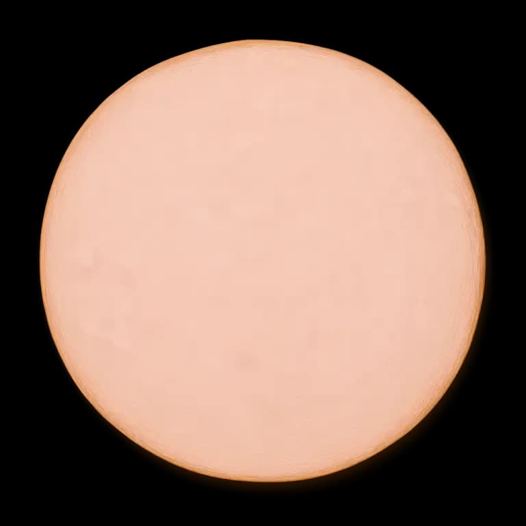 Bologna