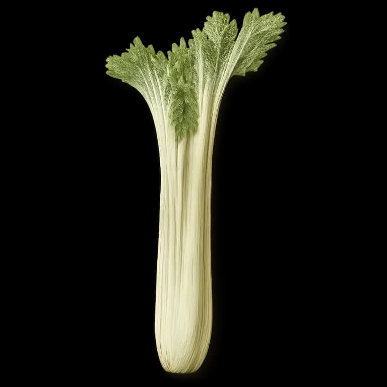 Cardoon