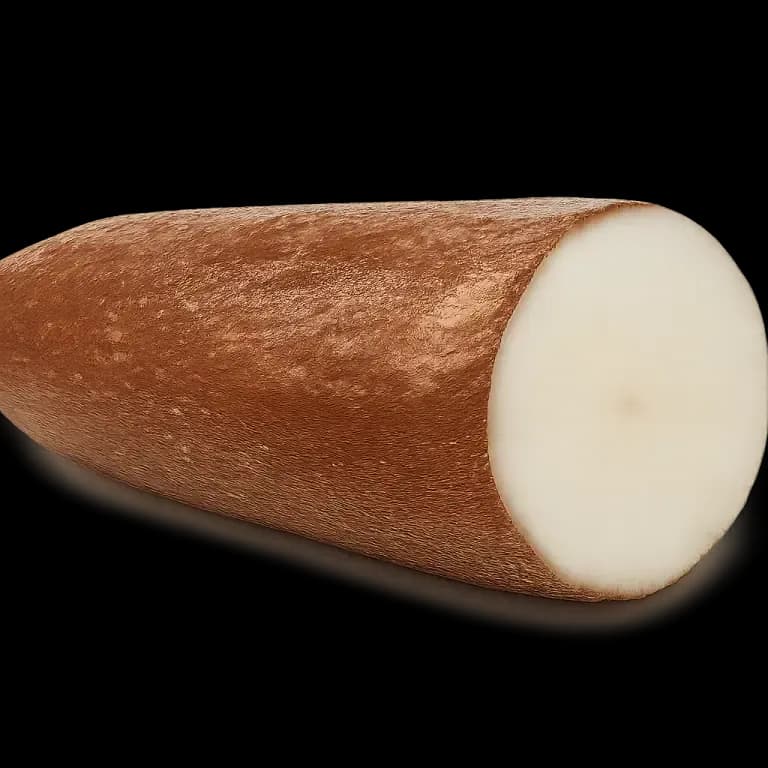 Cassava