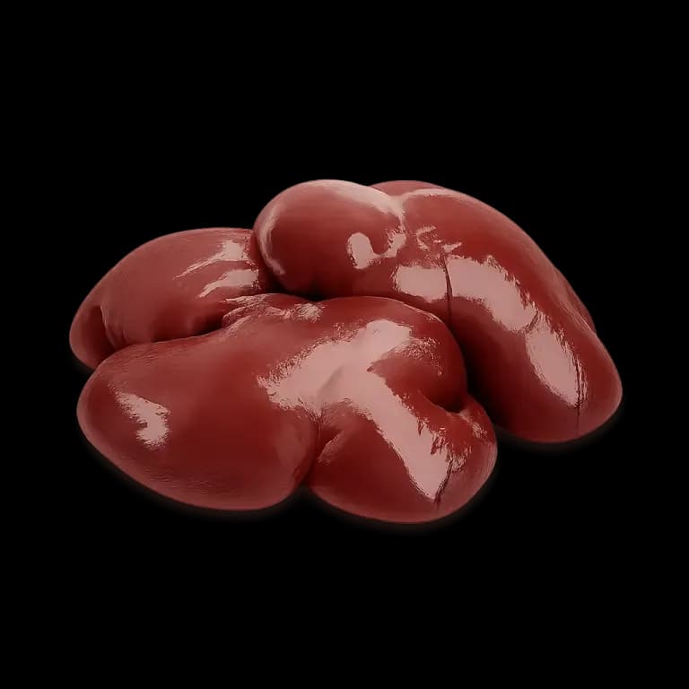 Chicken liver