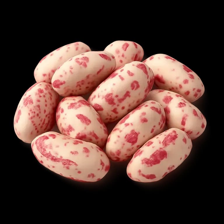 Cranberry beans