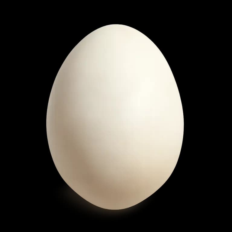 Duck egg
