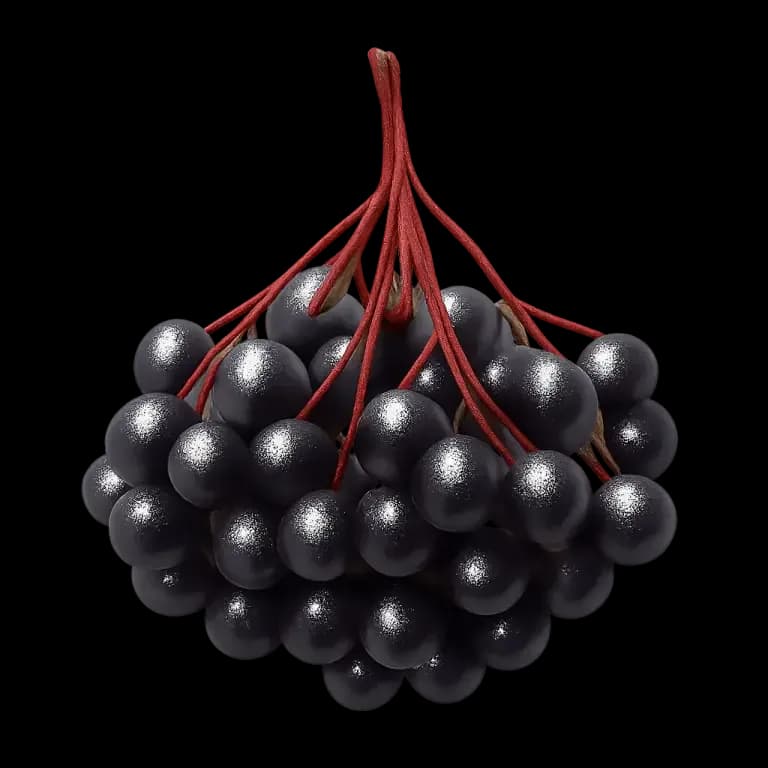 Elderberries
