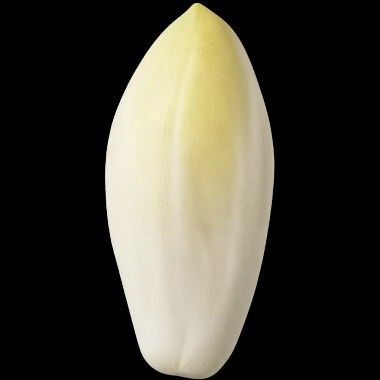 Endive