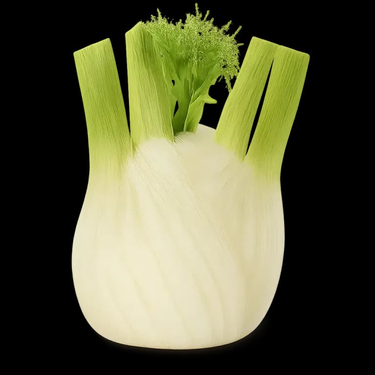 Fennel