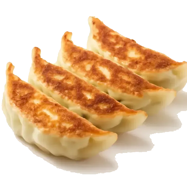 Fried dumplings