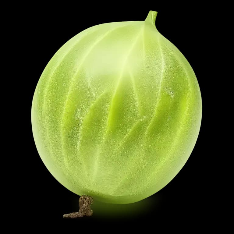 Gooseberries