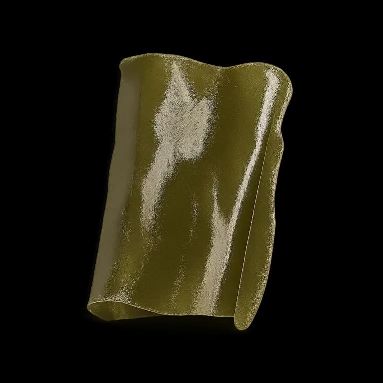 Kelp