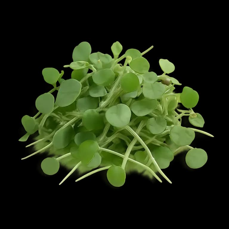 Microgreens