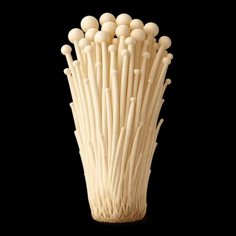 Enoki mushroom