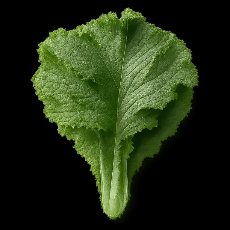 Mustard greens