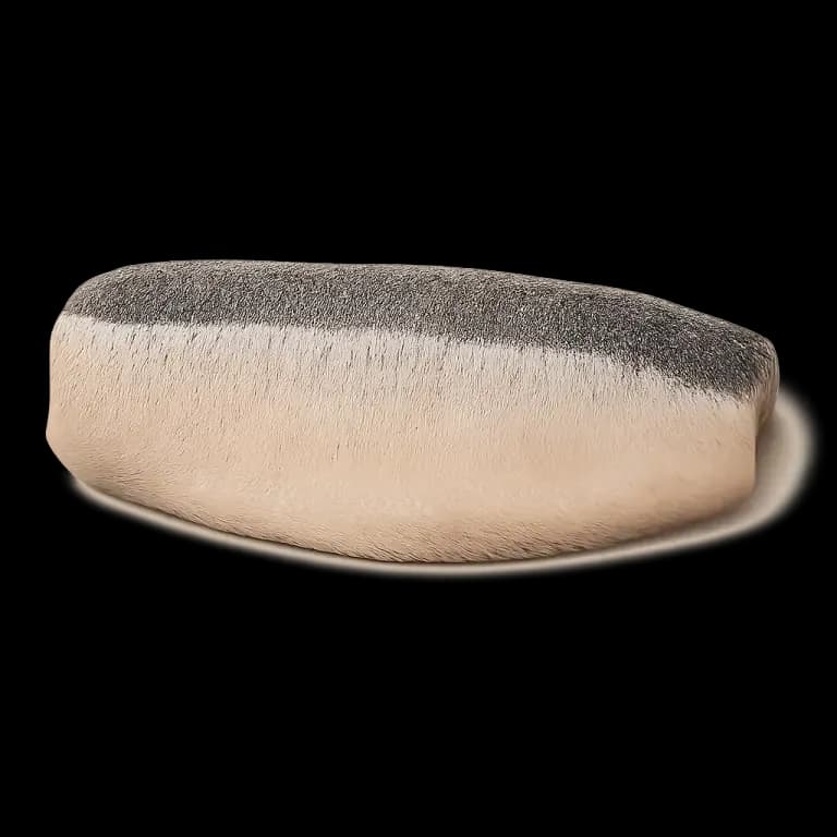 Pickled herring