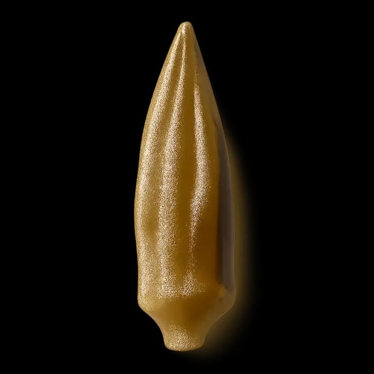 Pickled okra