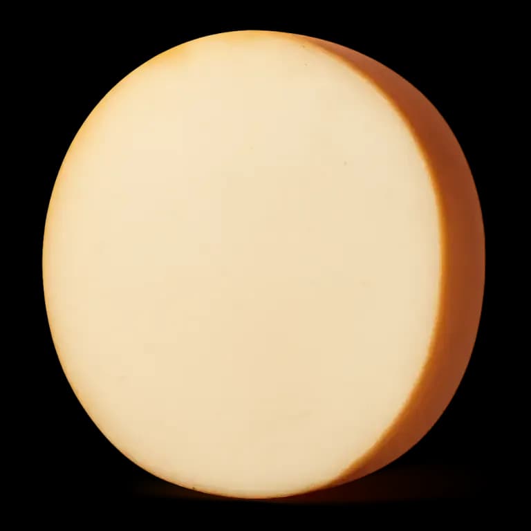 Provolone