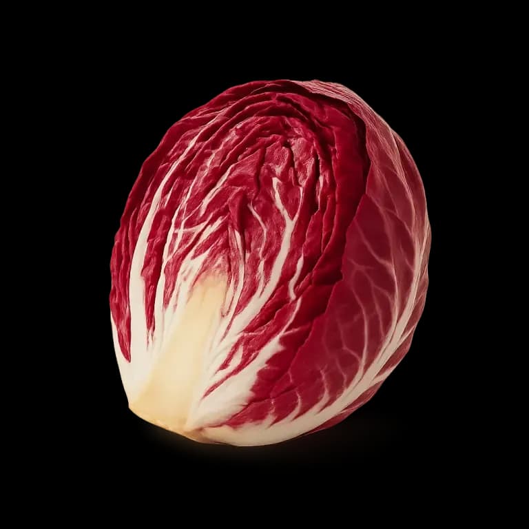 Radicchio