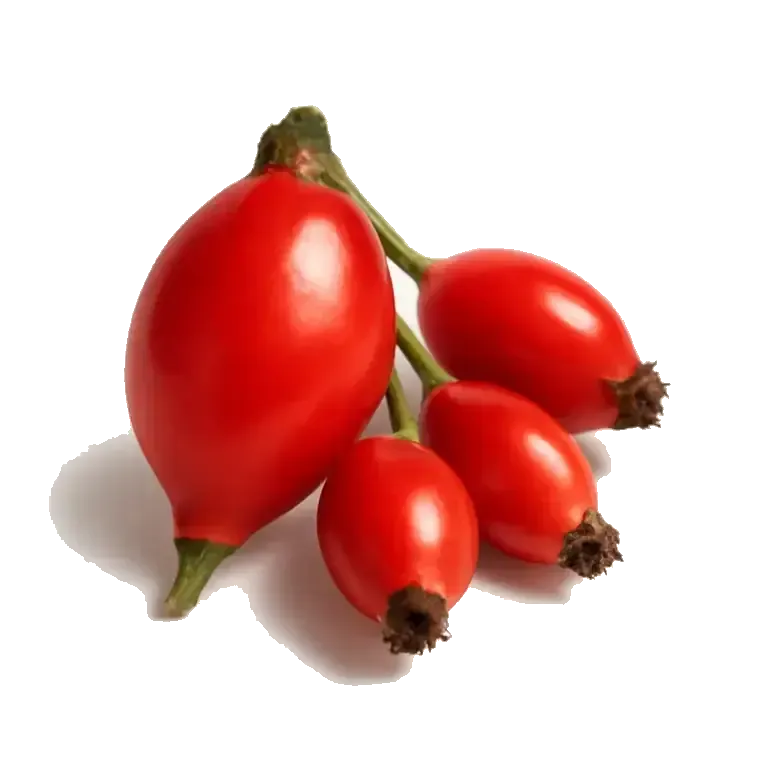 Rose hips