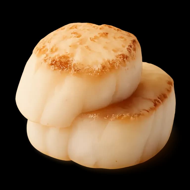 Scallops