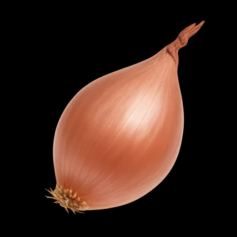 Shallots