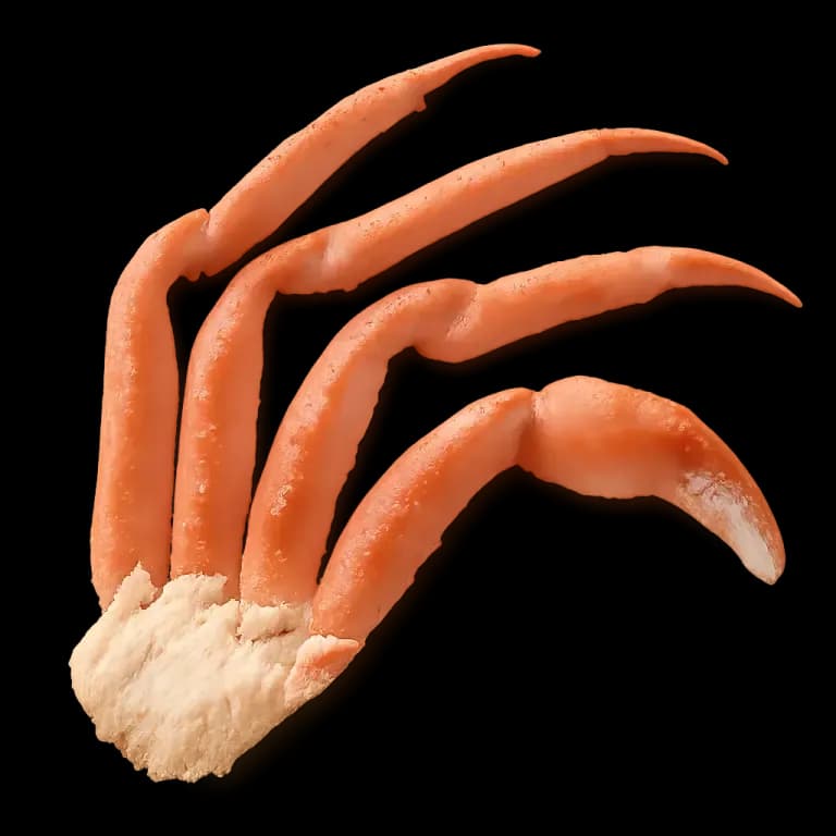 Snow crab