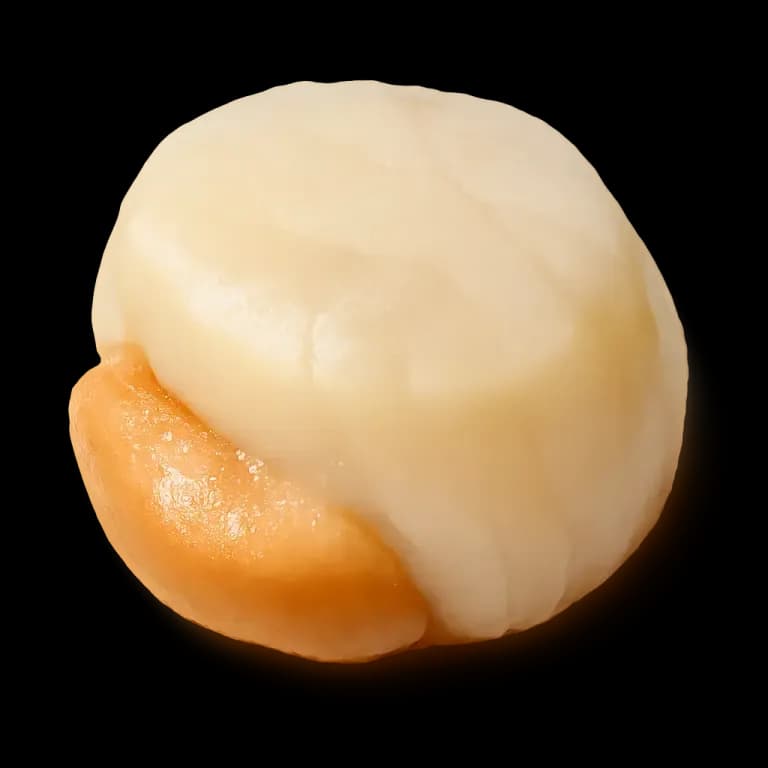 Steamed scallops