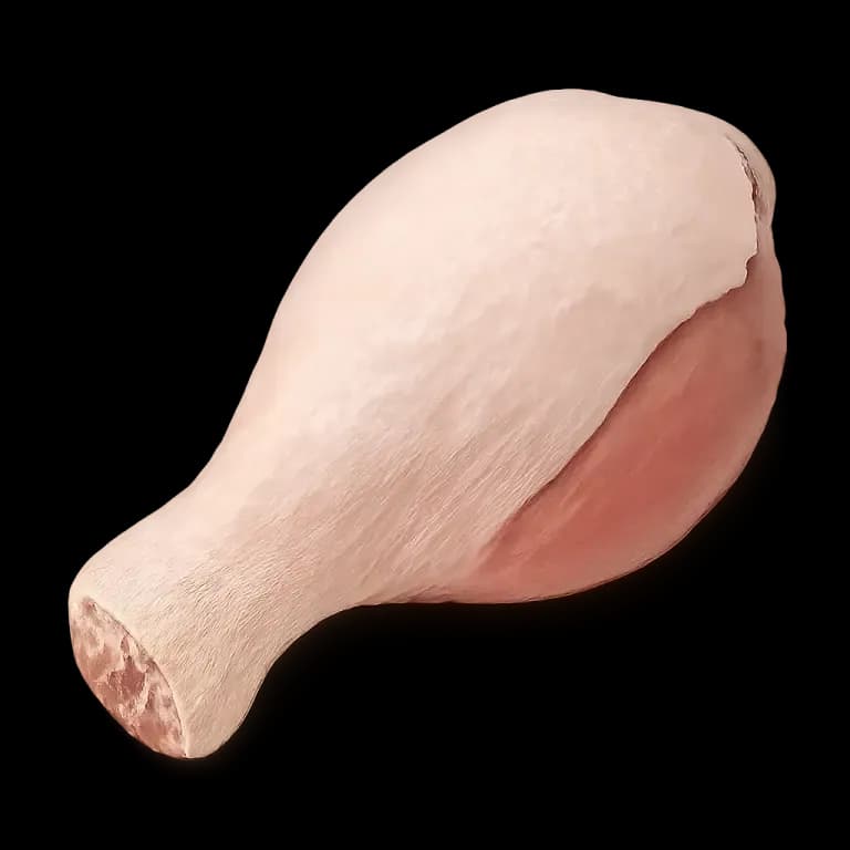 Turkey thigh