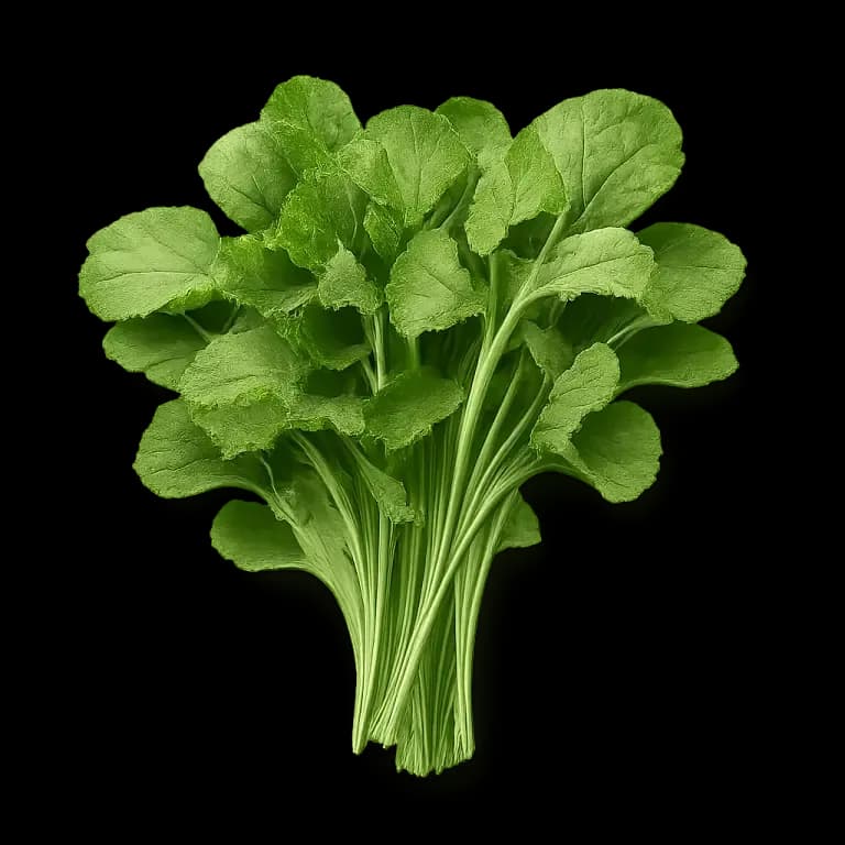 Watercress