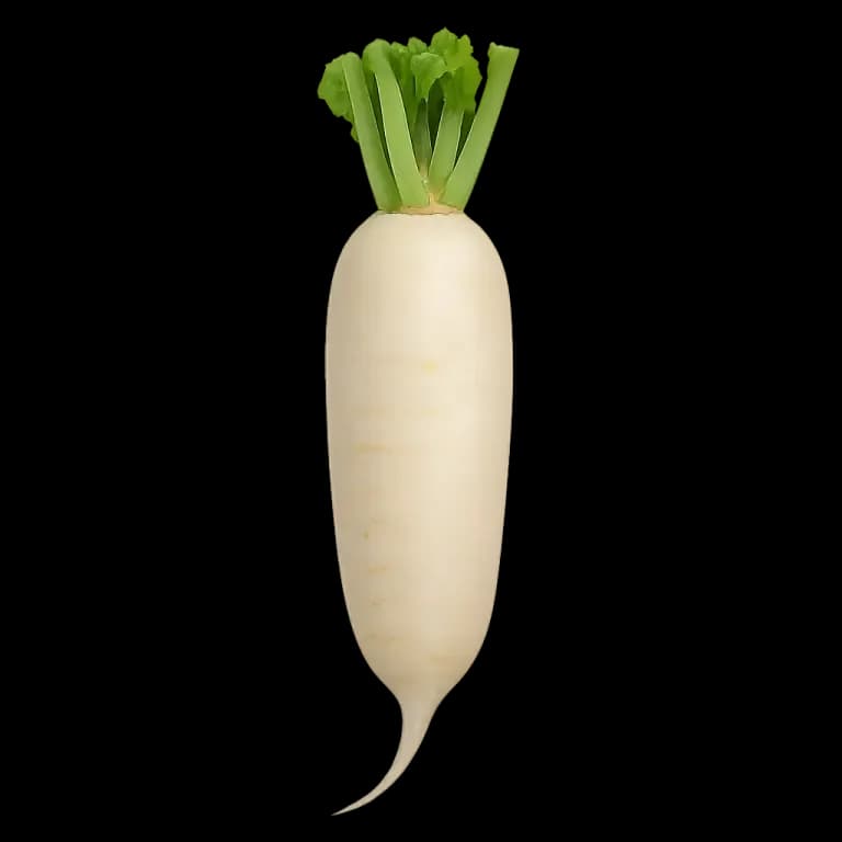White radishes