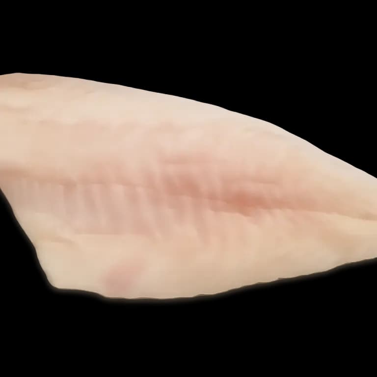 Alaska pollock