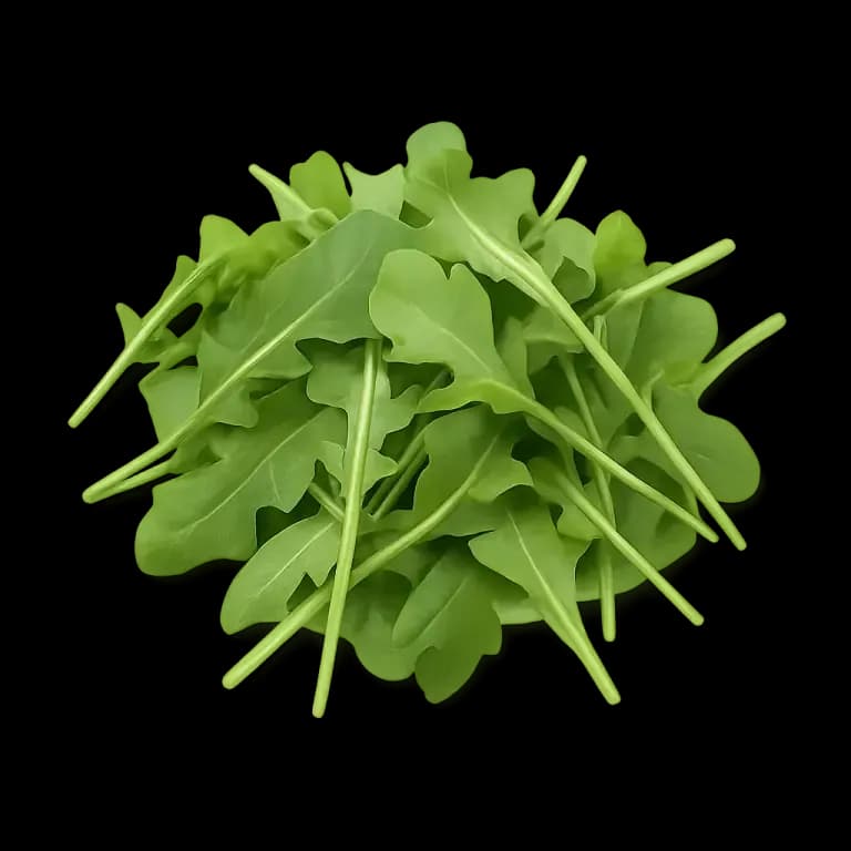 Baby arugula
