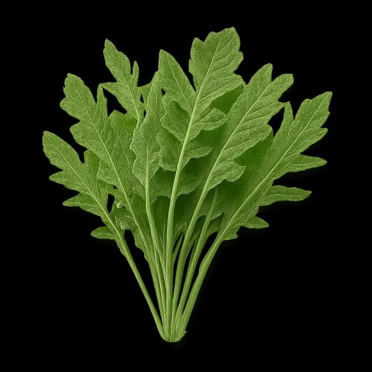Arugula