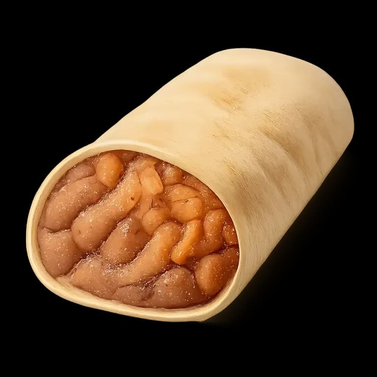 Bean and rice burrito