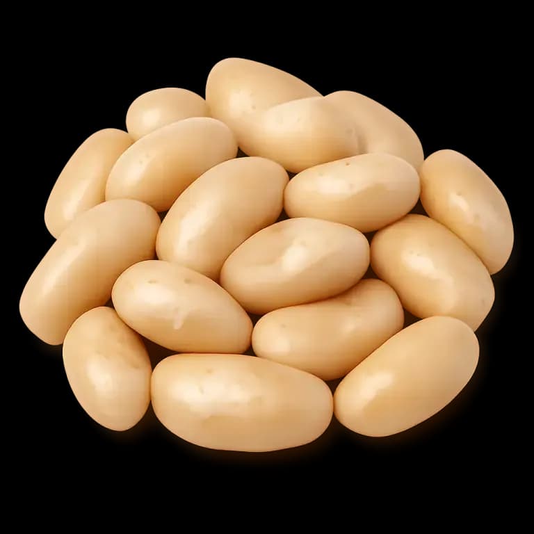 Great northern beans