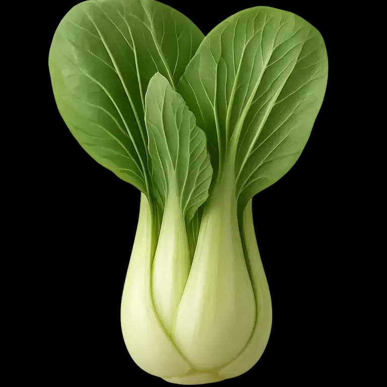 Bok choy