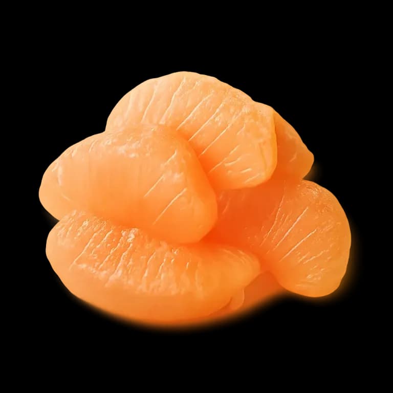 Canned grapefruit sections