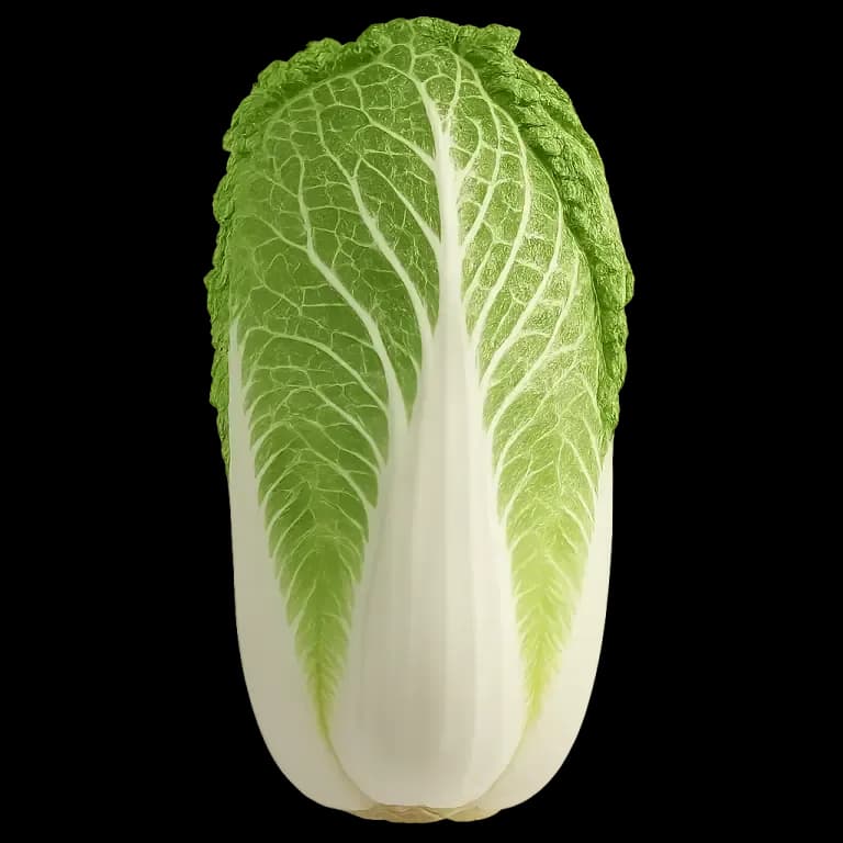 Chinese cabbage