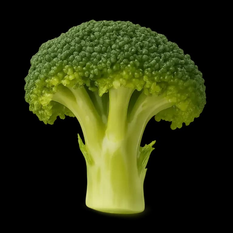 Cooked broccoli