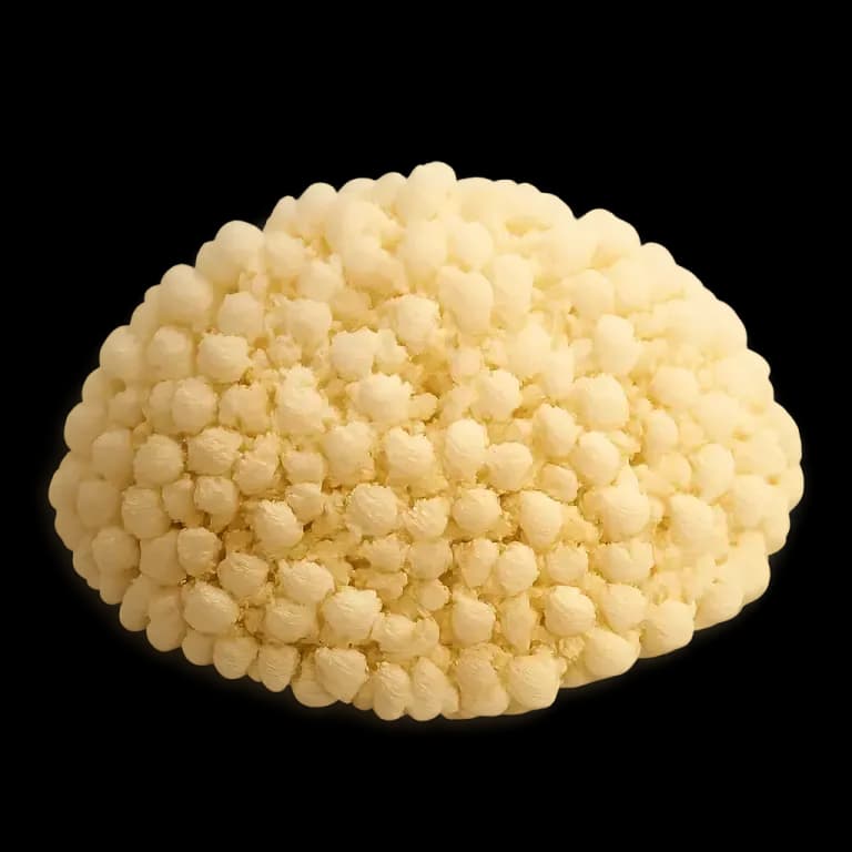 Couscous