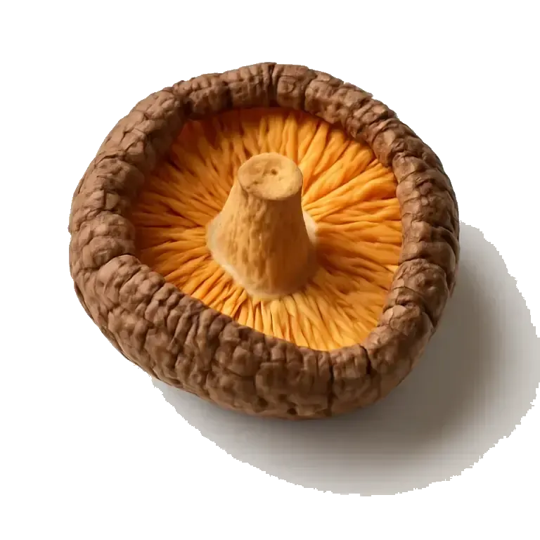 Dried shiitake mushrooms