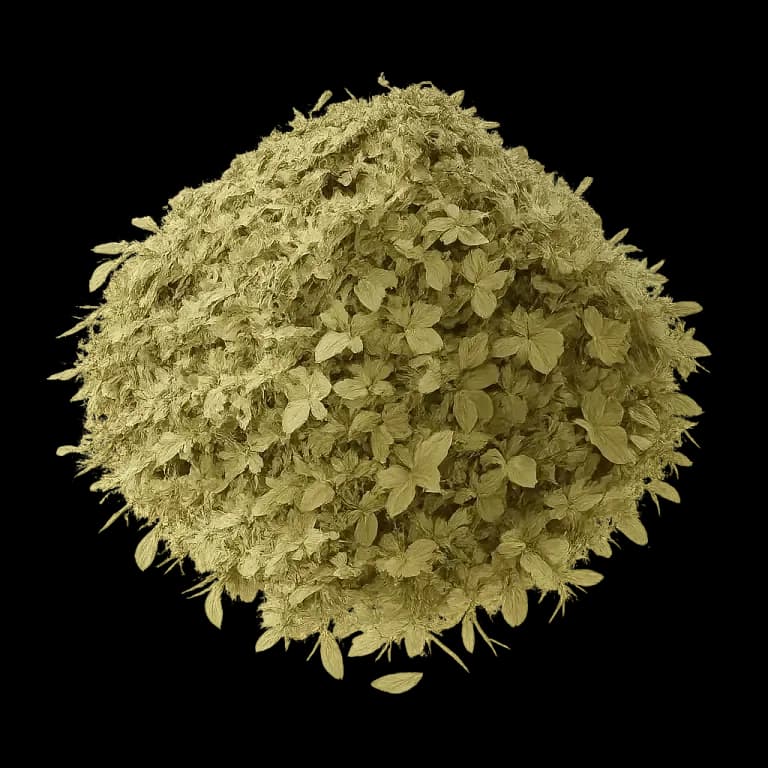 Dried tarragon