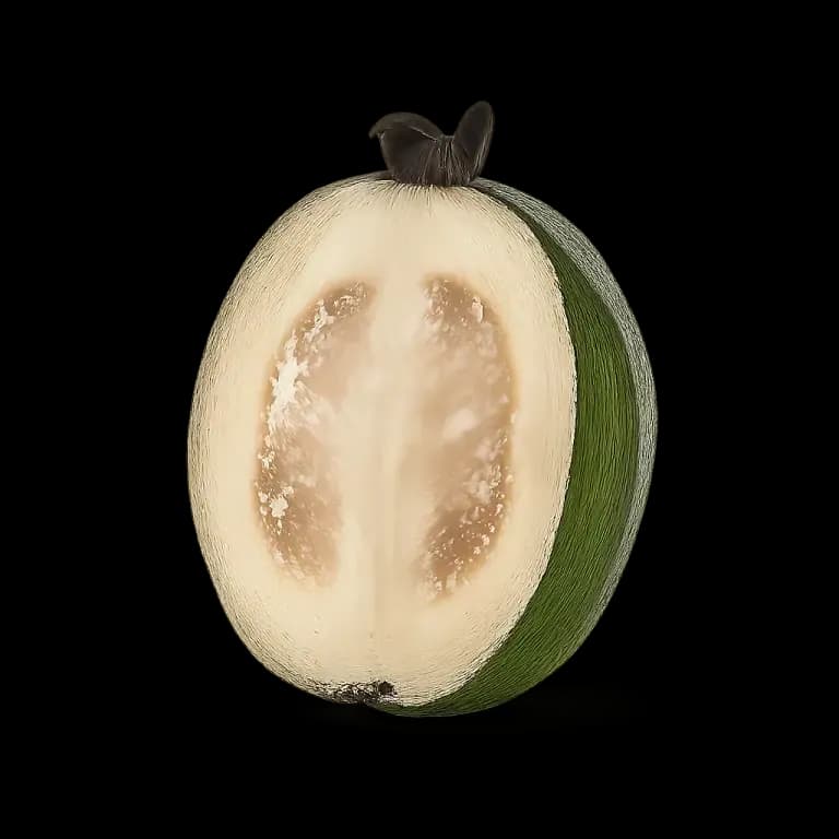 Feijoa
