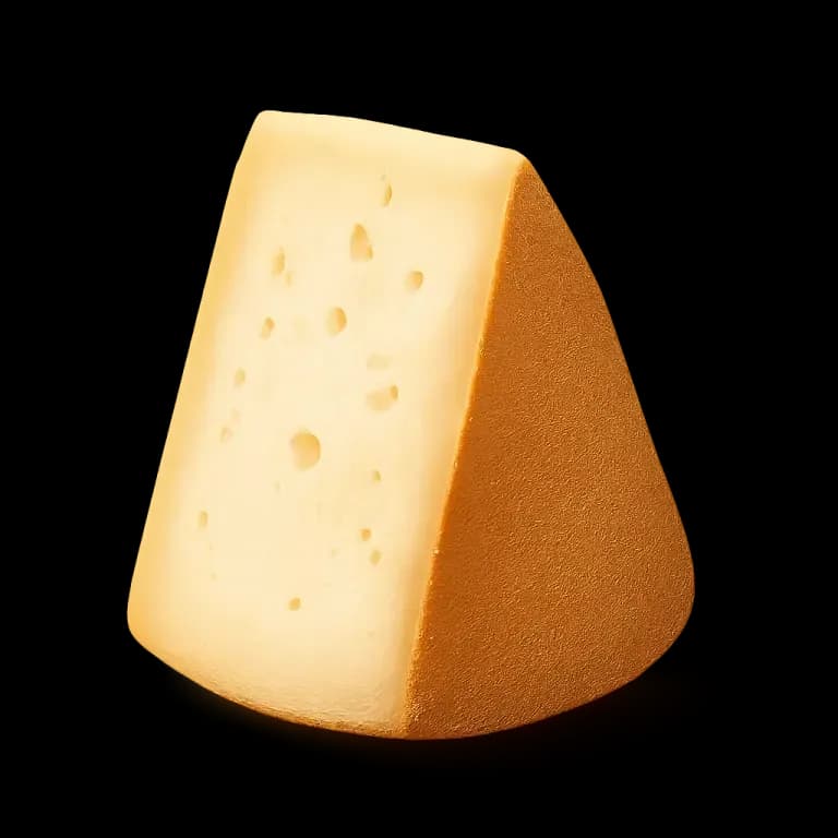 Fontina