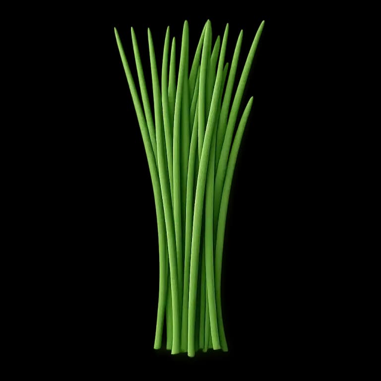 Fresh chives