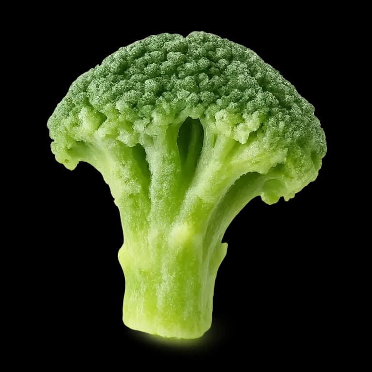 Frozen cooked broccoli