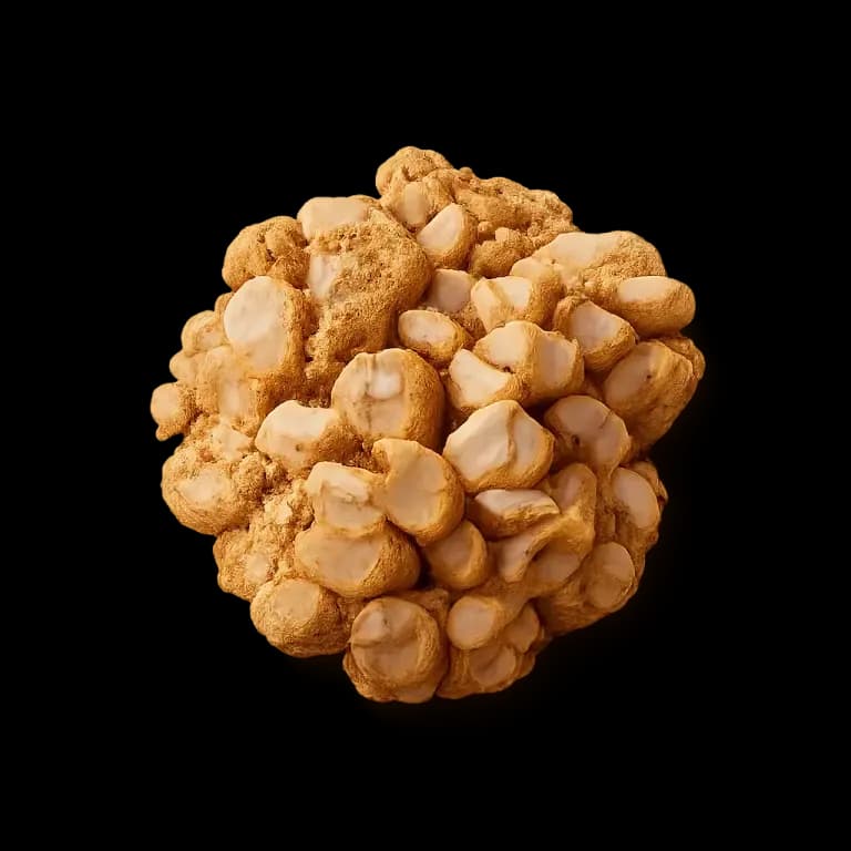 Granola cluster