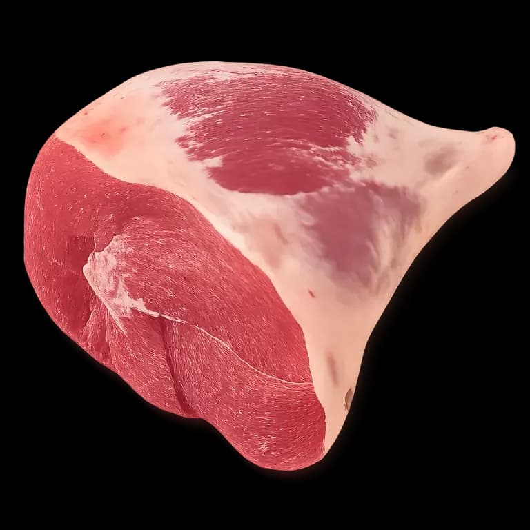 Lamb shoulder