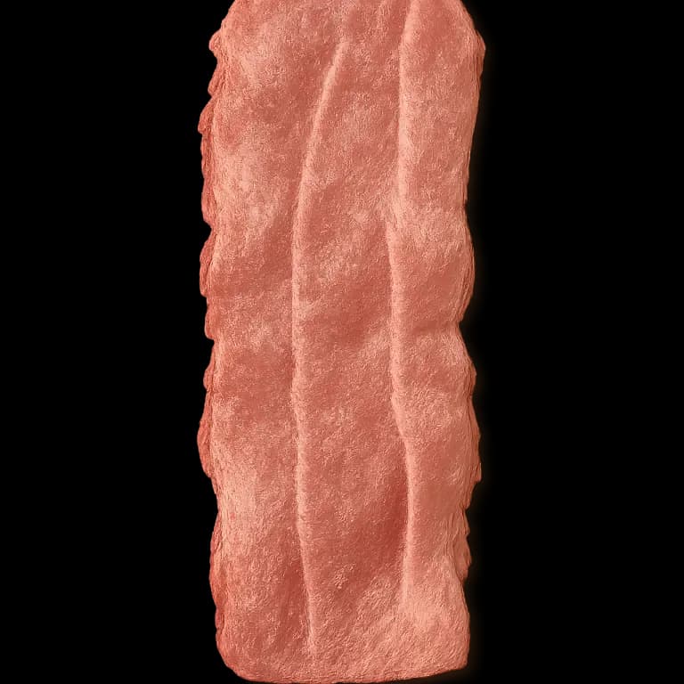 Low sodium turkey bacon