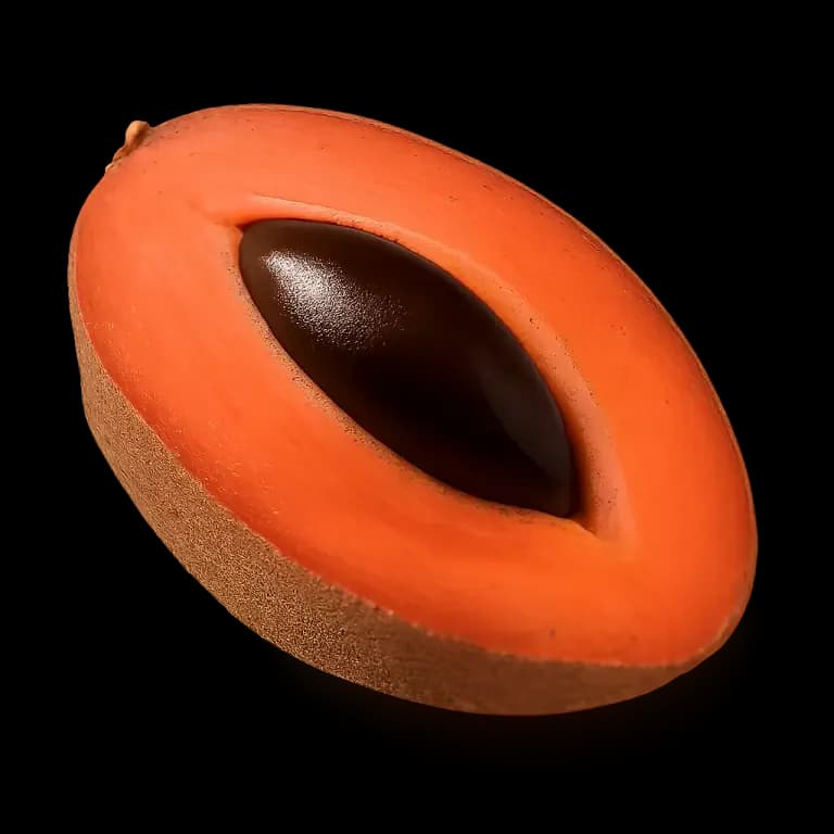 Mamey sapote